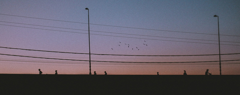 real people, land, vertebrate, people, power line, beauty in nature, nature, clear sky, person, sky, cable, color, sunset, men, electricity, silhouette