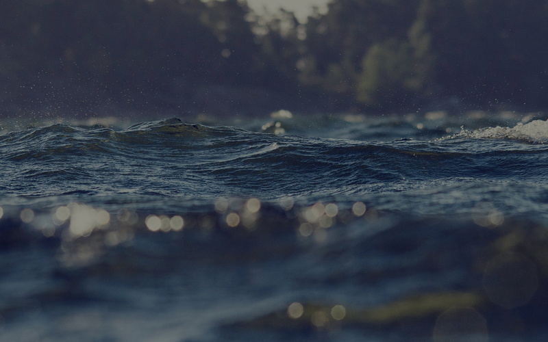 water, beach, scenics - nature, 4K, motion, tranquil scene, green, tranquility, aquatic sport, drowning, nature, land, lake, night, sea, wave, marine
