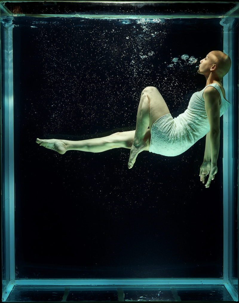 women, body, elegance, woman, pool, girl, side view, nature, swimming, one person, full length, beauty, fantasy, young adult, sea, underwater, indoors