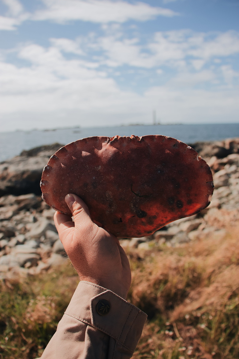 human body part, bread, human, food, crab, finger, nail, rock, body part, rust, unrecognizable person, lifestyles, sky, food and drink, hand, sunlight