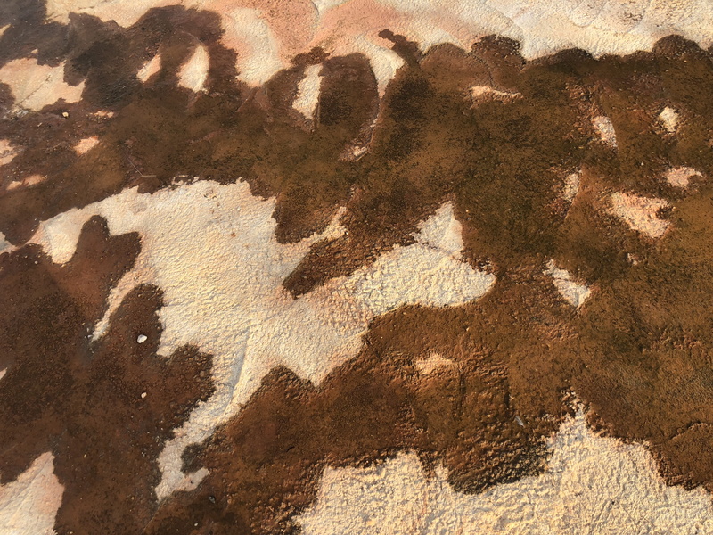 painting, abstract, close-up, linen, pattern, brown, scenery, handprint, rough, backgrounds, black color, outdoors, rock, floral, day, mold, soil, white