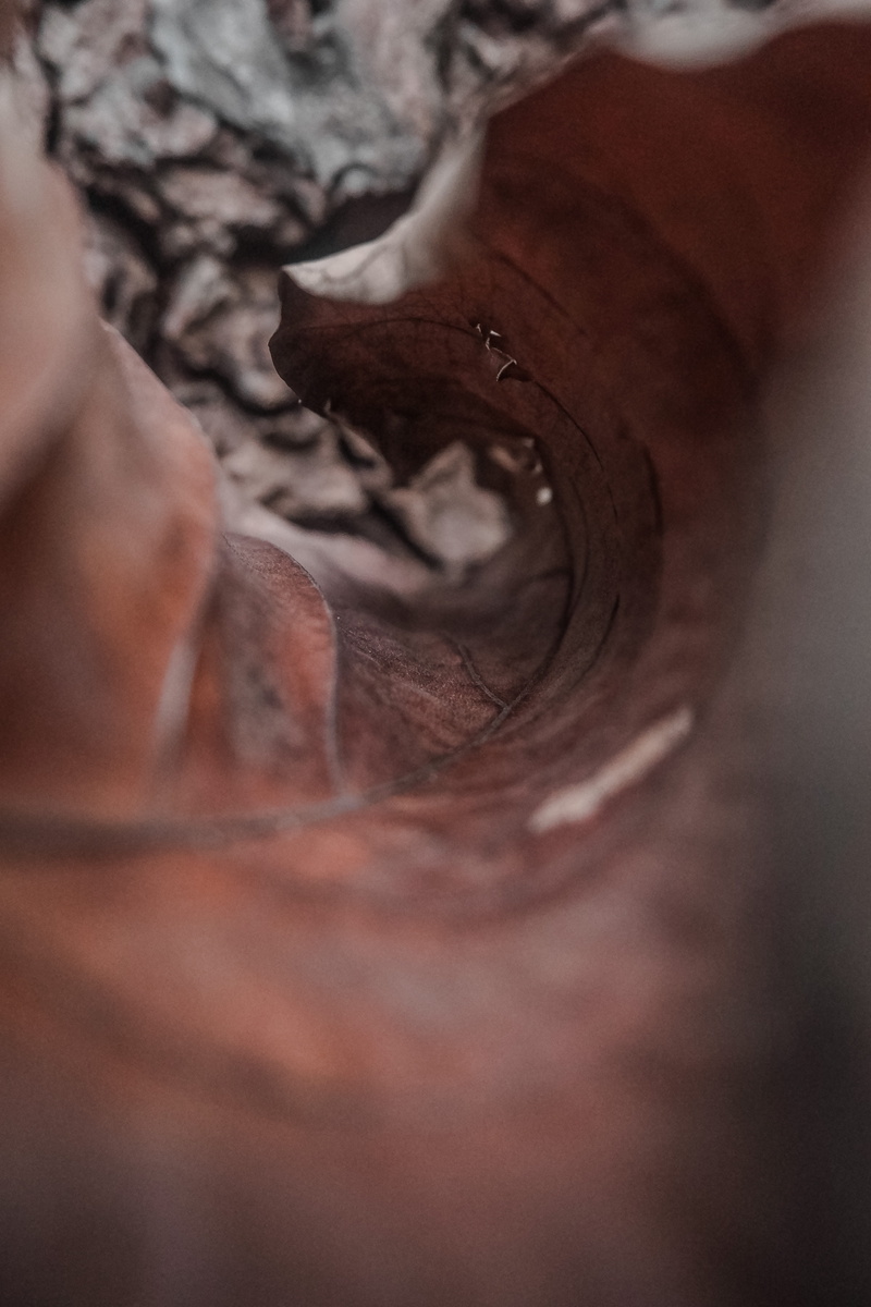 wood, skin, unrecognizable person, selective focus, crystal, human, finger, backgrounds, body part, one person, coin, day, 5K, real people, full frame