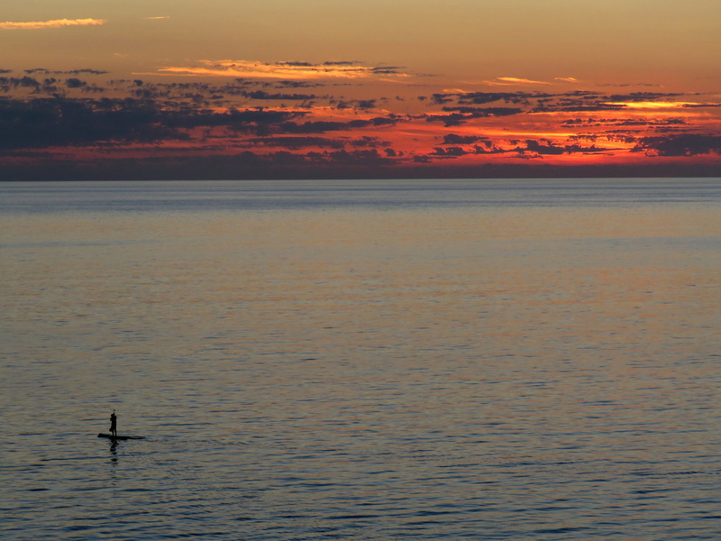 bird, sunset, animal, loneliness, scenics - nature, water, sky, tranquility, surfing, cloud - sky, orange color, vertebrate, outdoors, the atlantic ocean