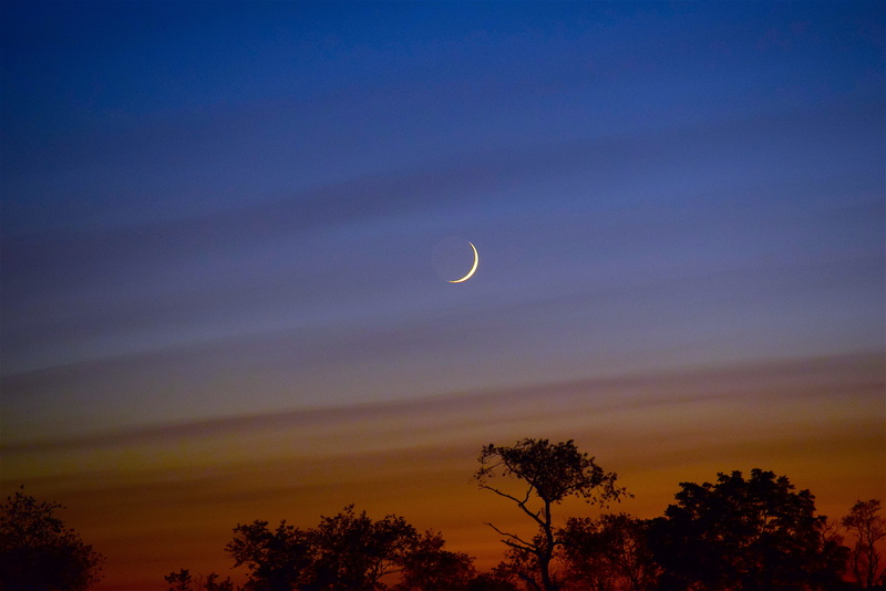 outdoors, outdoor, landscape, crescent, half moon, 4K, light, blue, tranquility, low angle view, sunset, moon, twilight, tranquil scene, space, plant