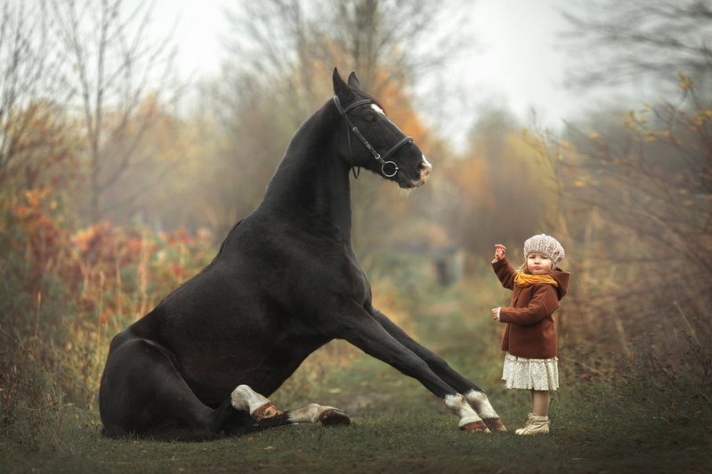 taming, horse, 1080P, girl, baby