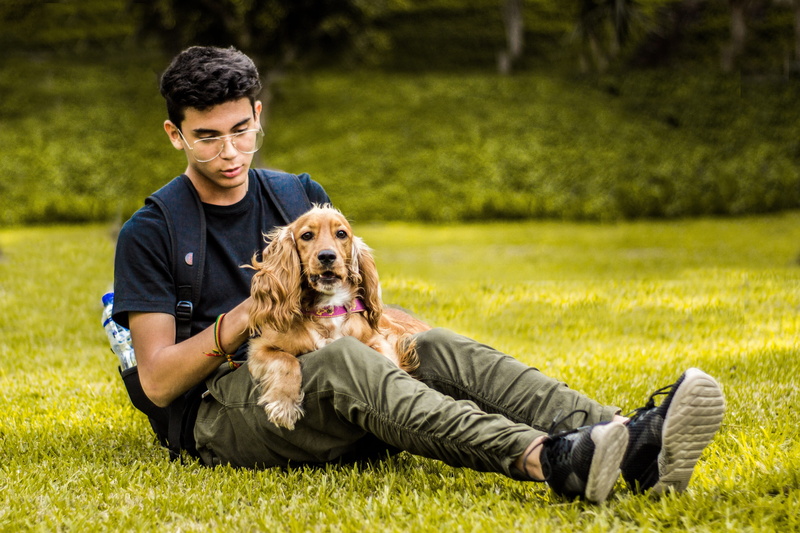 domestic, relaxation, grass, domestic animals, adolescence, tamed, race, adorable, one animal, emotion, nature, pet owner, canine, leisure activity, pets