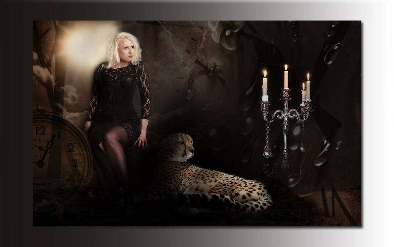 studio shot, sit, woman, adult, mammal, looking, females, tame, person, hairstyle, women, beauty, fashion, clothing, beautiful woman, one animal, predator