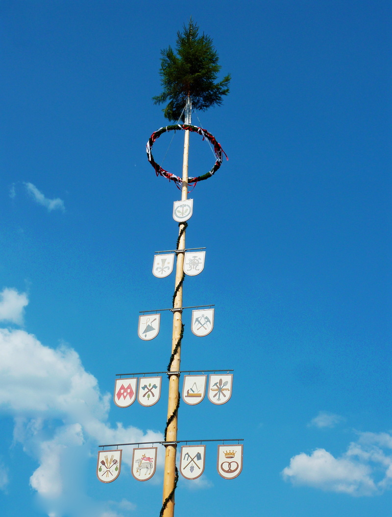 custom, sky, communication, blue, tree, birch, sunlight, text, tropical climate, plant, 2K, no people, tourism, market, maypole, creativity, bavaria, decorated