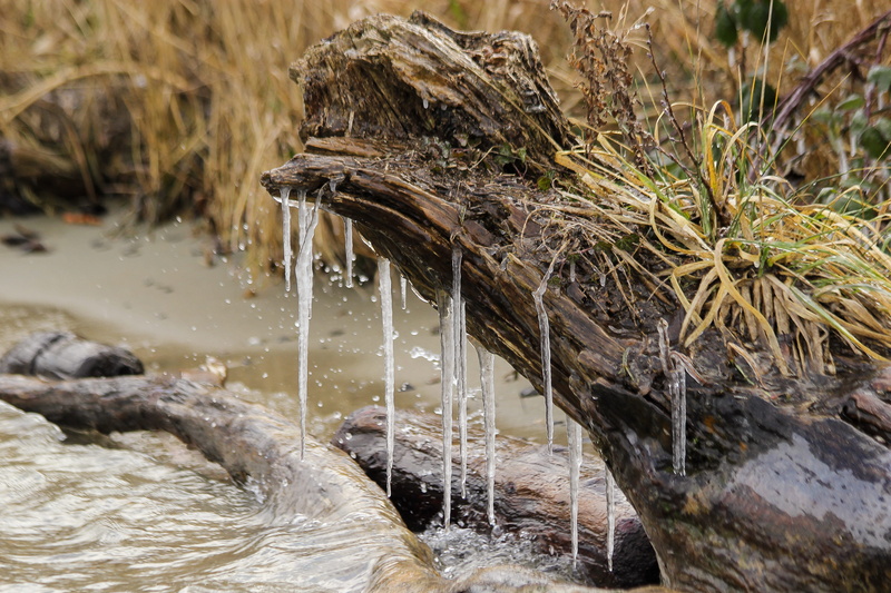 stalactite, icicle, drops, land, wood - material, tree, close-up, rock - object, gouttes, river, plant, rock, water, no people, dead wood, solid, mouillé