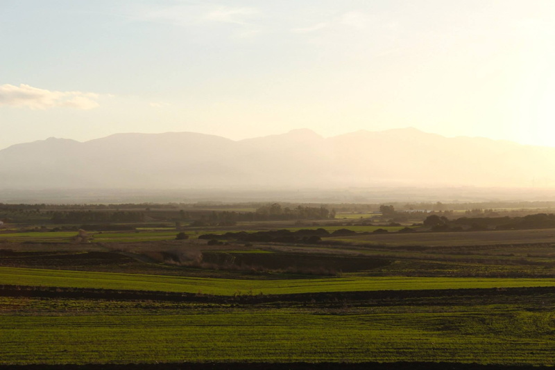 no people, sky, landscape, outdoors, land, rural scene, rolling landscape, tranquility, plain, fog, vista, scenics - nature, green, day, agriculture, 1080P
