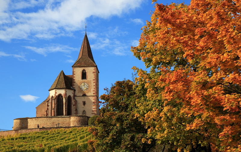 Church Saint-Jacques-le-Majeur, trees, 1080P, Hunawihr, Church of Saint-Jacques-Le-Mazher, The hunawihr, Church, autumn, France