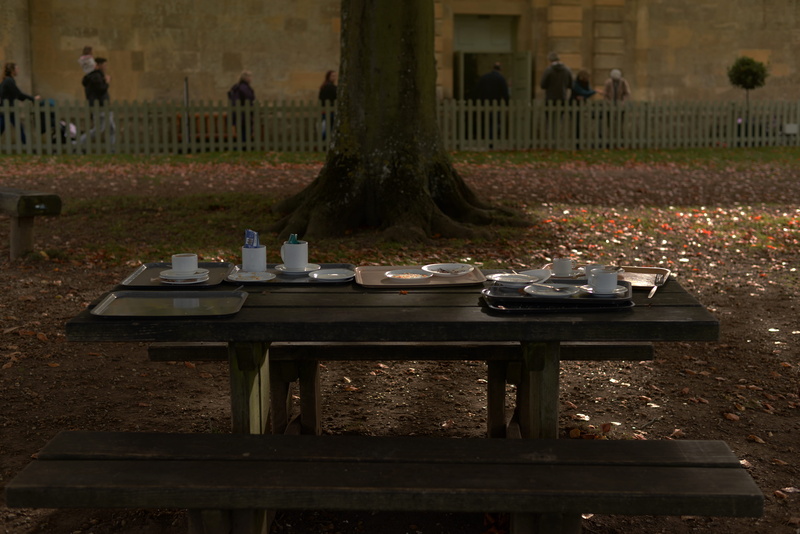 table, trunk, empty, united kingdom, absence, eating, day, incidental people, 5K, tree, field, nature, woodstock, after breakfast, plant, autumn, wood - material