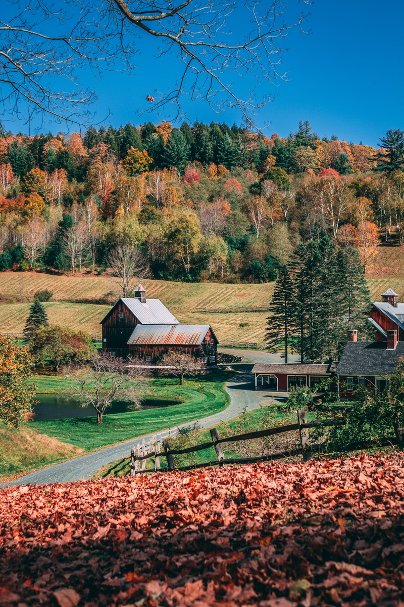 hut, dirt road, beauty in nature, woodstock, sunlight, environment, landscape, autumn, scenery, field, scenics - nature, 5K, road, tree, countryside, architecture