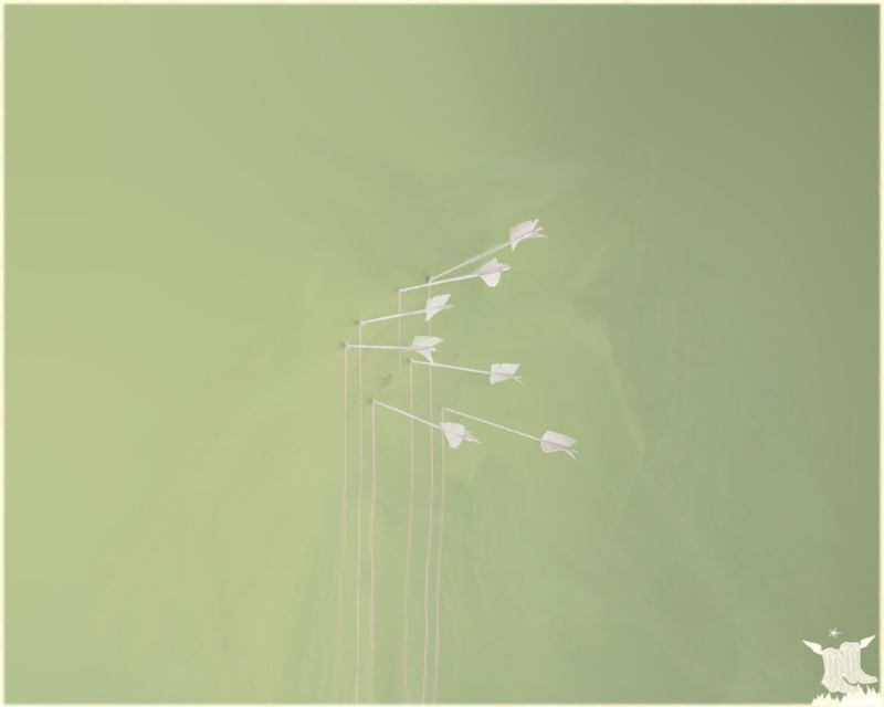Modest Mouse, Band (Music), 720P