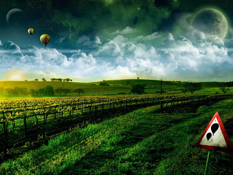 growth, day, crop, no people, scenics - nature, cloud - sky, rural scene, plant, landscape, farm, agriculture, tranquil scene, nature, tranquility, environment