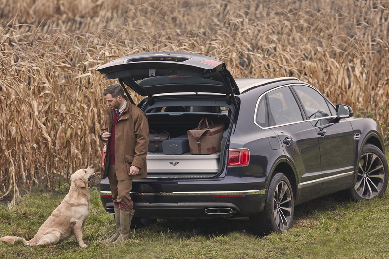 people, dog, domestic animals, field, mammal, canine, men, motor vehicle, 2K, plant, 2018 Cars, day, real people, 4k, sitting, Bentley Bentayga Field Sports