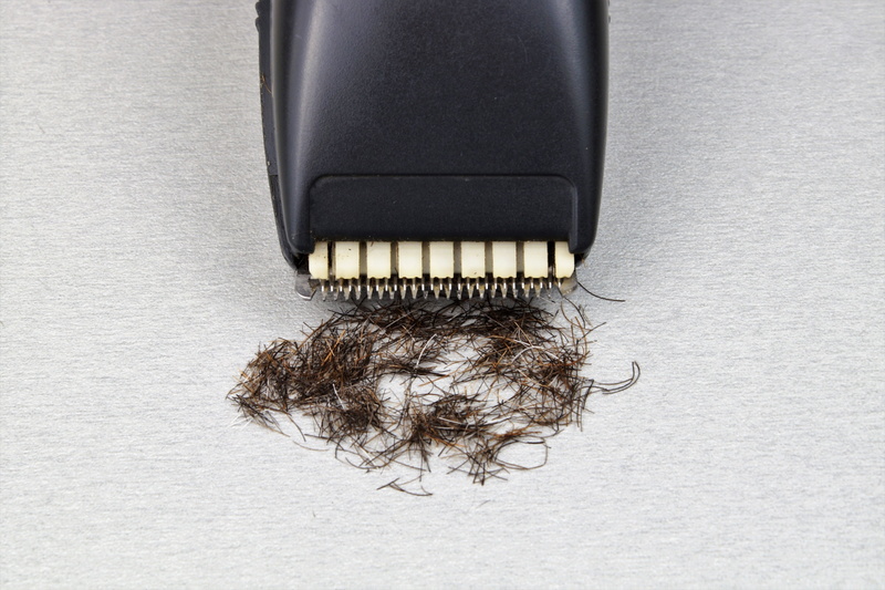 shaving, still life, bristles, surfac, beard hair, close-up, gray, black color, one animal, black, man, high angle view, clipper, razor, equipment, studio shot
