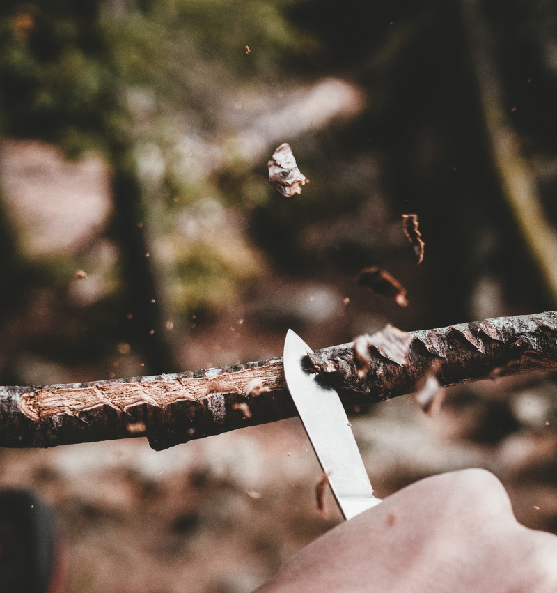 section, carve, nail, fence, 2K, chips, outdoors, sign, selective focus, forest, wood, holding, close-up, cut, high angle view, knife, wood - material