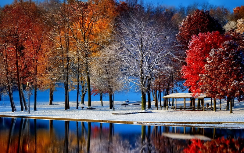 color Image, snow, landscape, vibrant Color, blue, beauty In Nature, frost, growth, lake, season, day, leaves, multi Colored, change, scenics, yellow, winter