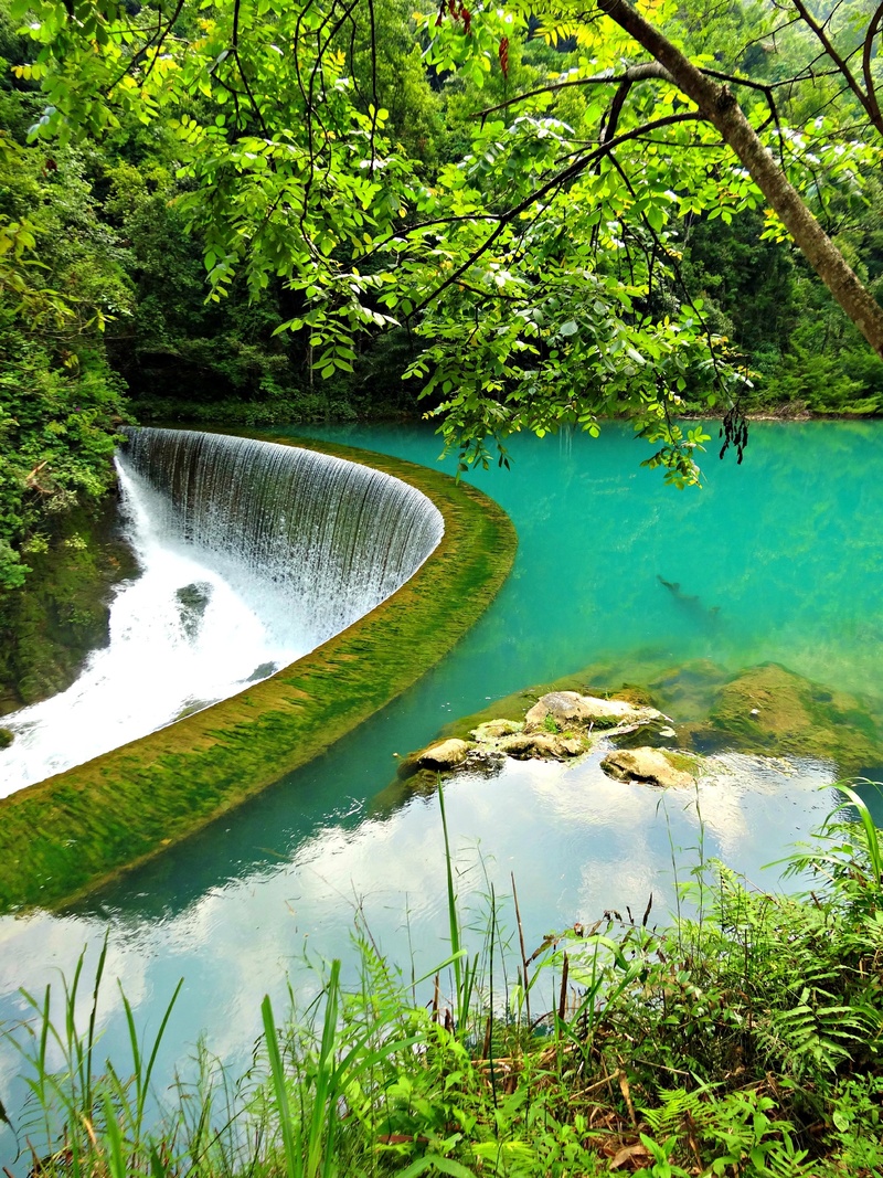 motion, china, flowing, stream, flowing water, green Color, landscape, asia, turquoise water, power in nature, outdoors, countryside, growth, scenics - nature