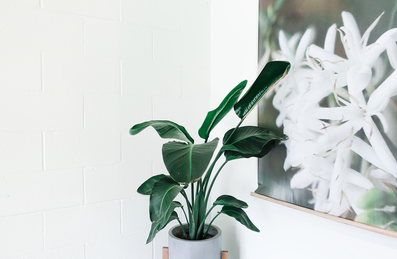 beauty in nature, growth, flower, minimal, minimalism, close-up, vulnerability, painting, green color, fragility, ceramic, freshness, wall - building feature