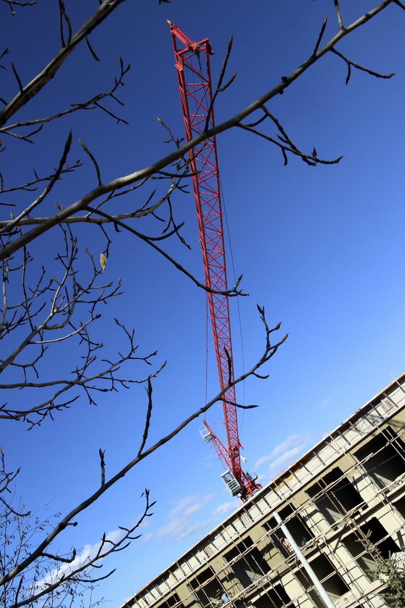 tall - high, nature, building exterior, bare tree, clear sky, day, cable, built structure, connection, building, 5K, sky, outdoors, tree, bulding, blue