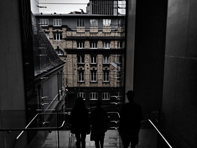 auckland art gallery toi o tāmaki, dark, adult, buldings, city, 4K, glass - material, rear view, group of people, women, windows, walking, window, men
