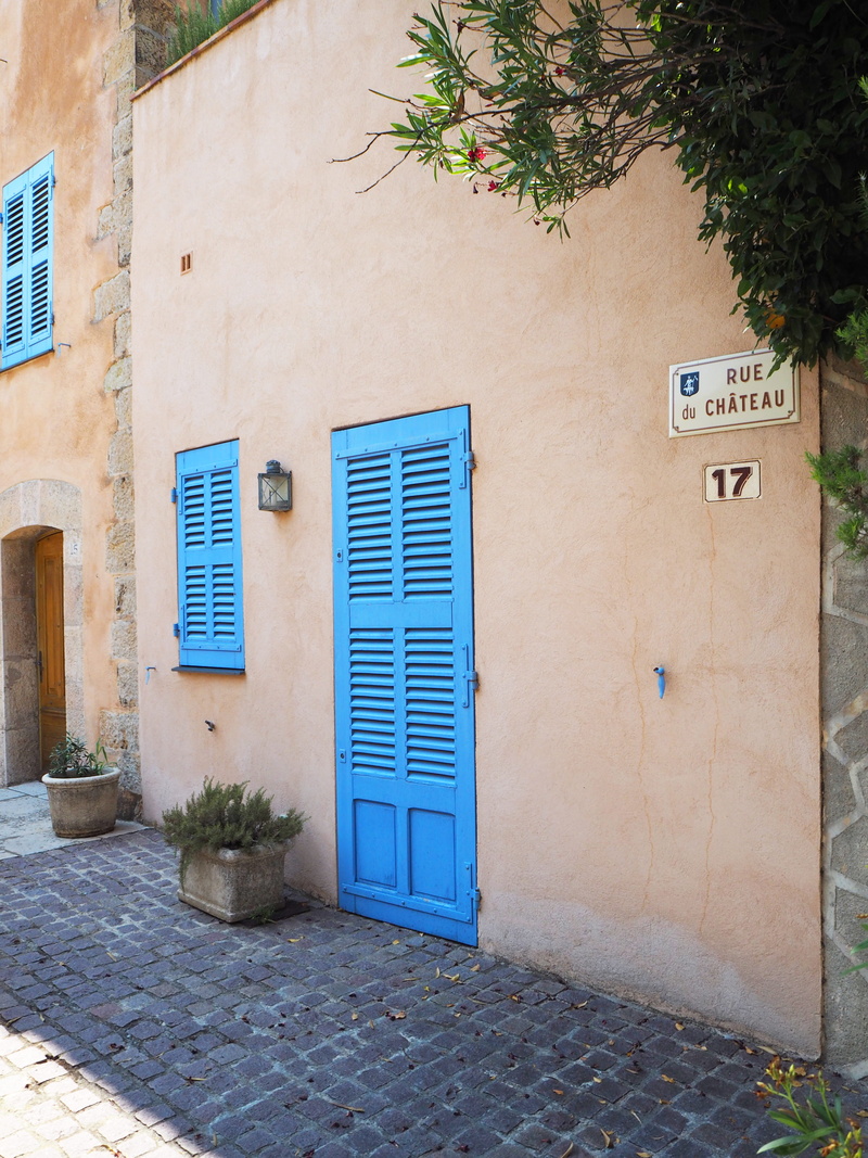 blue, french, door, window, no people, residential district, city, direction, sidewalk, street, plant, house, 4K, footpath, closed, outdoors, building