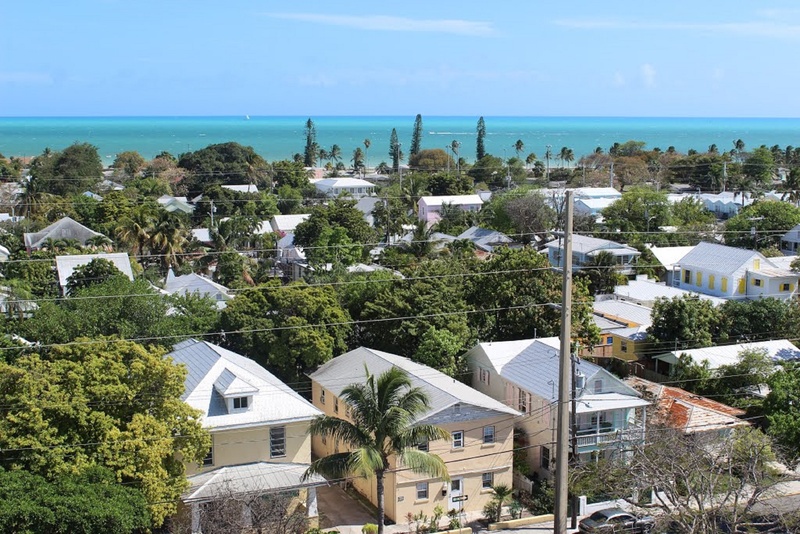 view from lighthouse, structure, architecture, high angle view, no people, palm trees, architecture design, florida, palm tree, sea, bulding, architectural