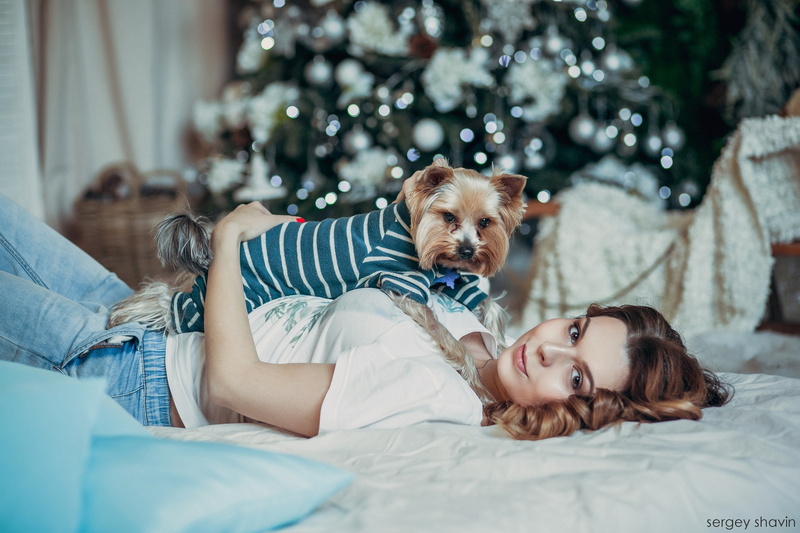 Sergey Shavin, girl, mood, Yorkshire Terrier, doggie, look, Sergei Savin, bed, 2K, dog