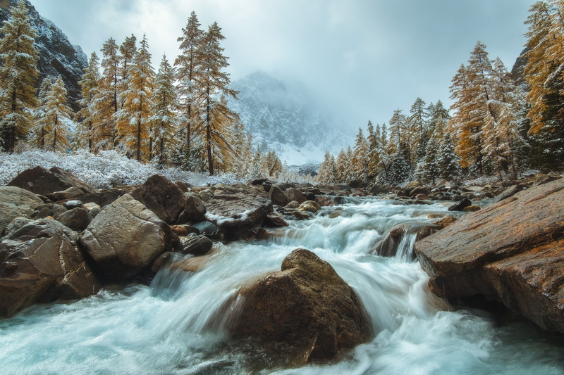 stream, trees, fog, Rev Alex, 1080P, snow, Altay, stones, river, autumn, nature, Siberia, landscape, mountains