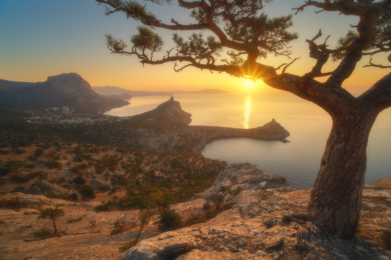 New light, vegetation, Rev Alex, tree, rays, the sun, landscape, Bay, 1080P, stones, pine, morning, sea, Alex Revs, nature, Crimea, mountains, rocks
