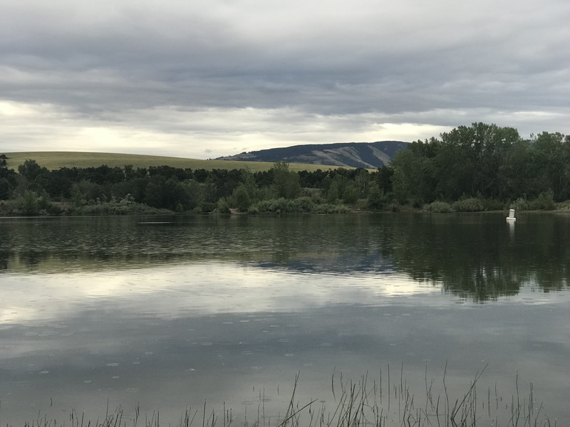 day, views, rain, bennington lake, pnw, water, lake, nature, mountain, idyllic, cloud - sky, trees, no people, united states, 4K, growth, tranquility