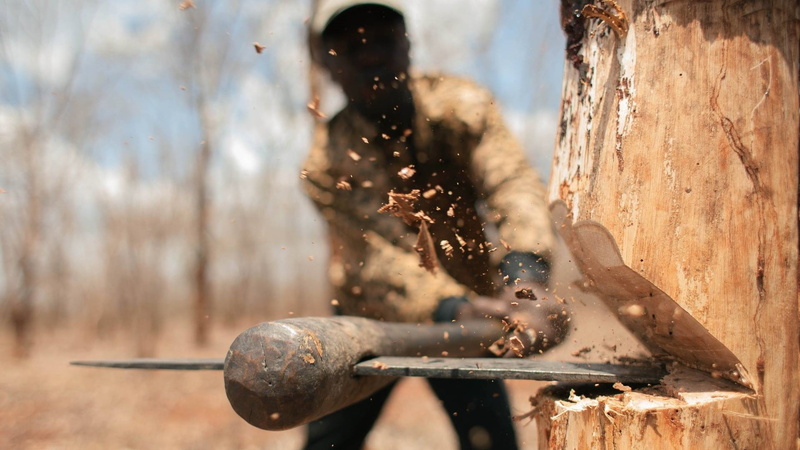 trees, 1080P, axes, wood, chopping, men, splinters, depth of field