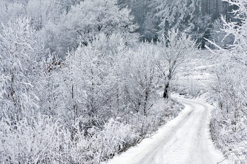 diminishing perspective, cold temperature, the way forward, winter, time of the year, Bartholomew Photography, covering, trees, forest, nature, tranquility