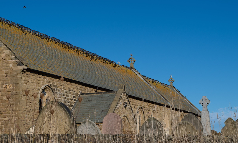 copy space, star swarm, bird migration, newbiggin-by-the-sea, no people, travel destinations, mourning, low angle view, building exterior, middle ages