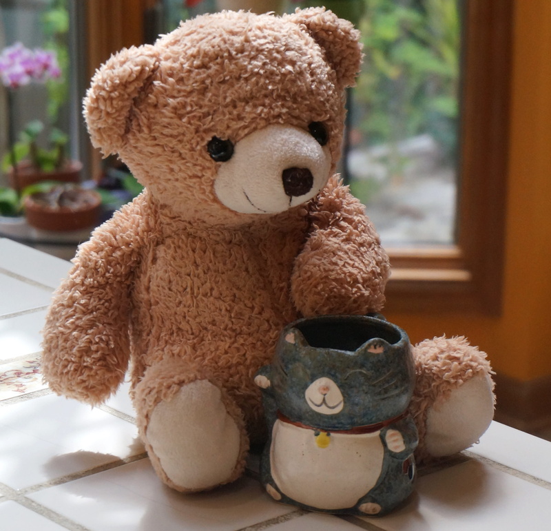 toy animal, table, day, art and craft, brown, cute, Old, stuffed animal, Toy, 2K, close-up, old teddy bear with mug, handmade, stuffed, focus on foreground