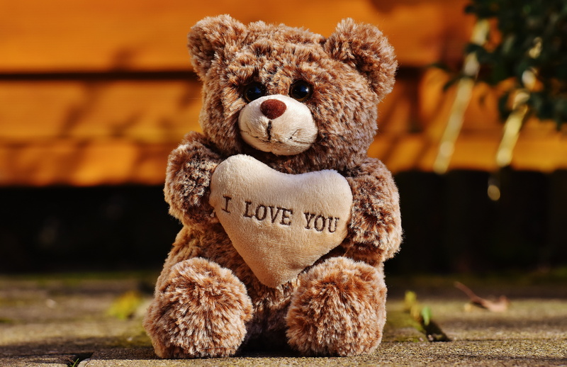 creativity, message, teddy Bear, cute, childhood, no people, affection, art and craft, love, holiday, stuffed toy, communication, mammal, animal, valentines day