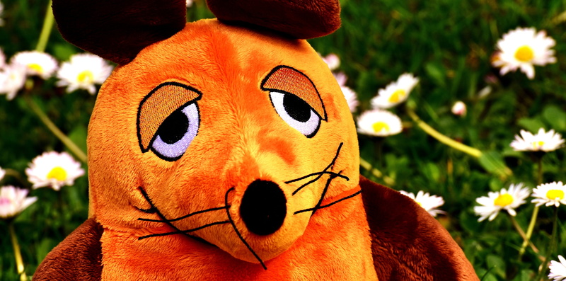 mouse, flowering plant, real people, funny, nature, close-up, human body part, 5K, childhood, soft toy, plant, one person, broadcast with the mouse, stuffed animal