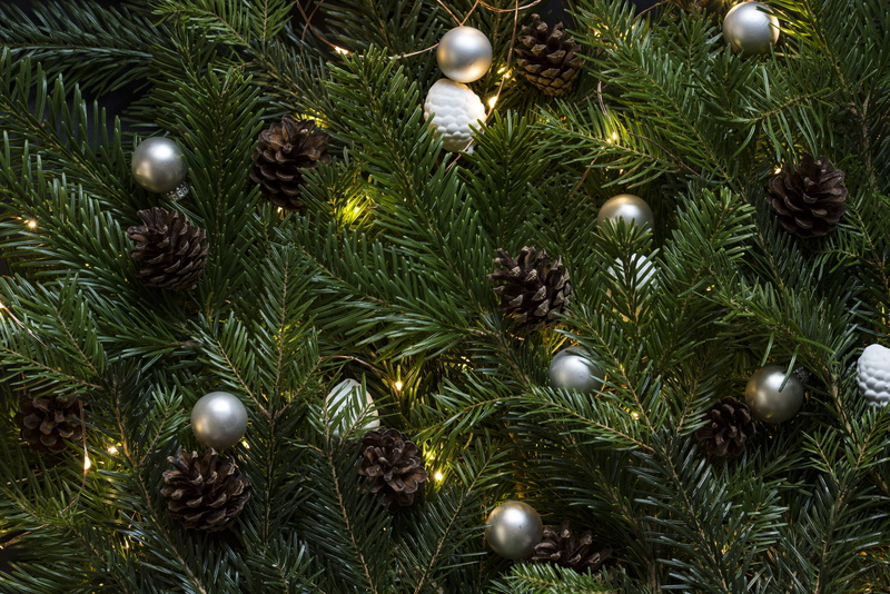 full frame, christmas lights, backgrounds, celebration, decoration, holiday - event, ornaments, pinetree, xmas tree, mary, baubles, christmas baubles, xmas decorations