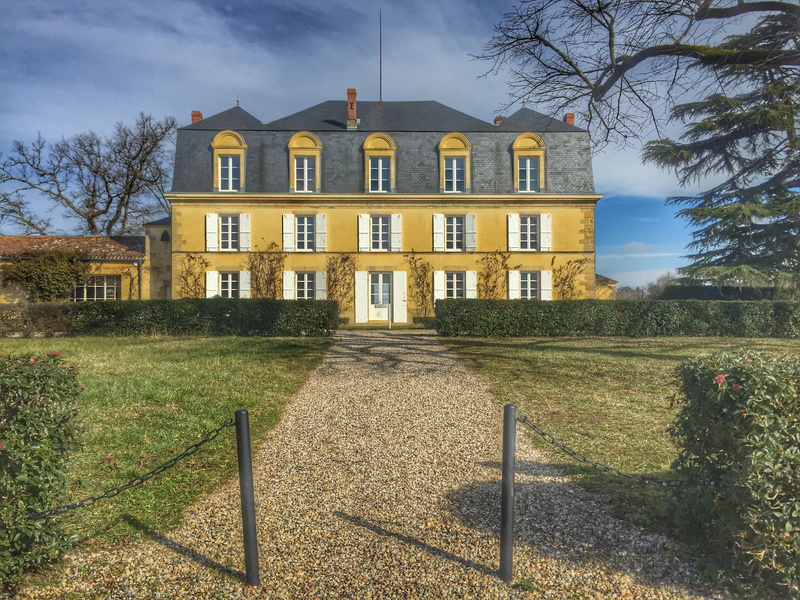 grass, agriculture, building, winery, vineyard, building exterior, chateau guiraud, built structure, europe, tourism, tree, bare tree, outdoors, culture