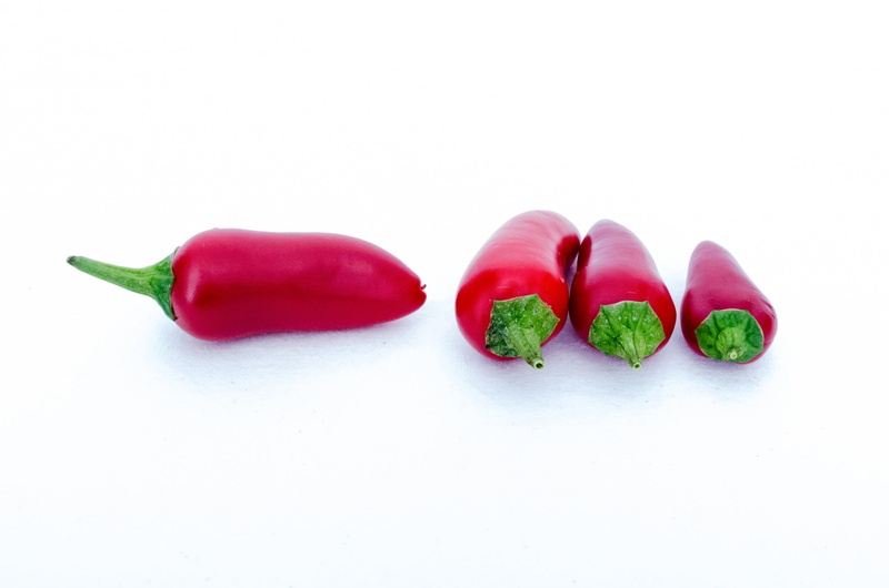 vegetables, food, bell pepper, spicy, pepper - vegetable, hot, paprika, heat, red, chili, peppers, organic, chilies, vegetable, studio shot, chili Pepper