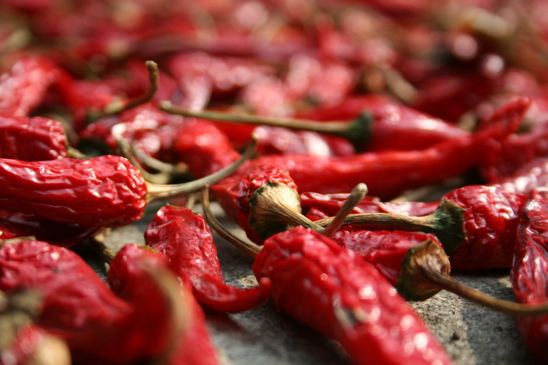 focus, cooking, peppers, studio shot, still life, chillies, food and drink, selective focus, full frame, vegetable, freshness, colorful, abundance, dried