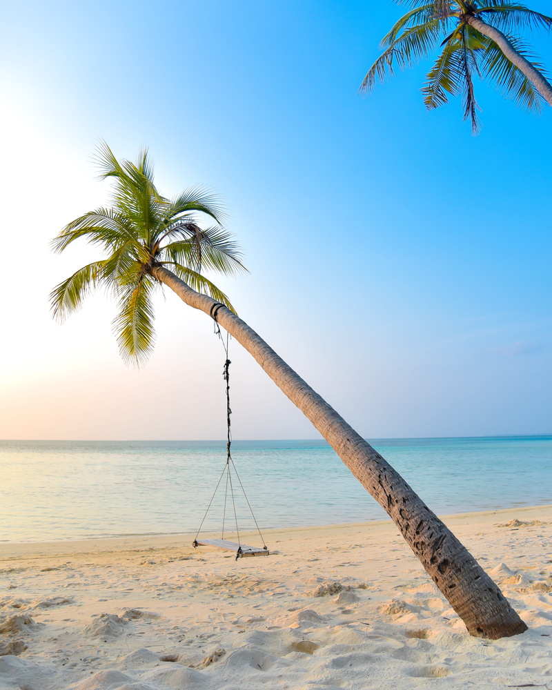 seascape, #travel, sea, summer, travel Destinations, island, sky, #tree, travel, tropical Climate, landscape, water, hang, swing, #palm, beach, day, no People