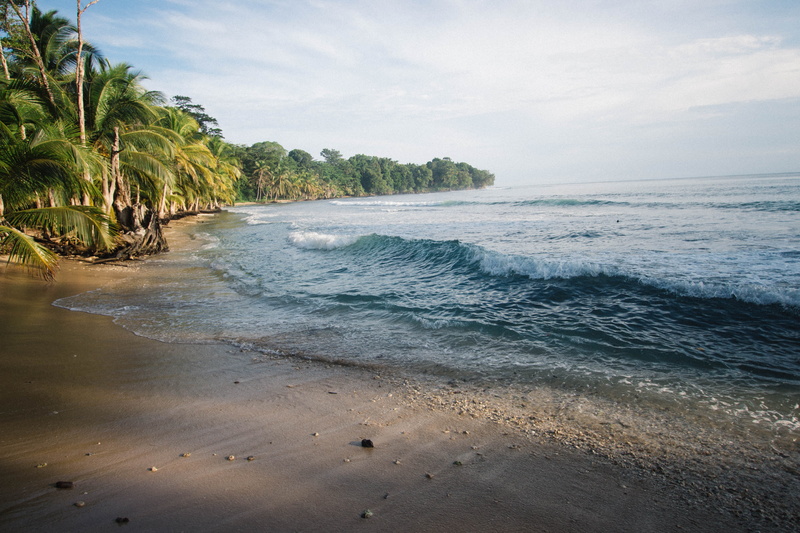 5K, photo, sea, sky, tropical, scenics - nature, outdoors, trees, palm tree, nature, tree, seashore, near, coast, surf, bay, wafe, horizon over water