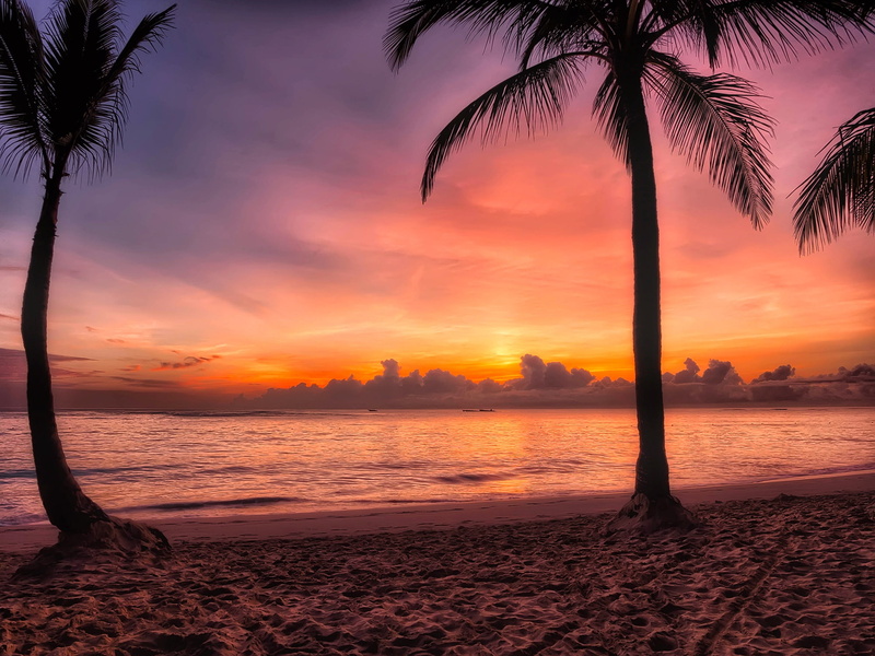 idyllic, scenics, clouds, nature, tree, dominican republic, horizon, tropics, morning, seashore, colors, tropical tree, tropical climate, sea, trees, hdr