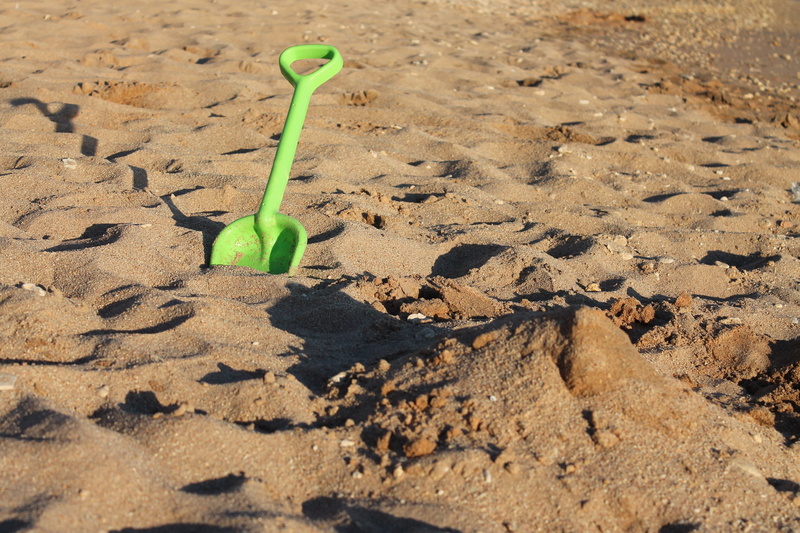4K, land, no people, beach, plant, beginnings, nature, day, plant part, new life, plastic, mud, dirt, sunlight, sand, shovel, beauty in nature, growth