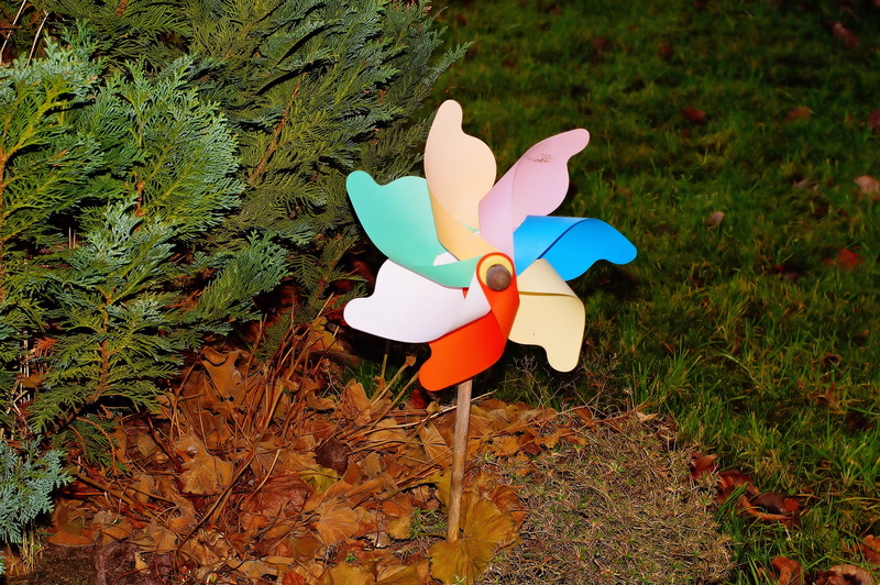 pinwheel, move, dynamics, wind direction, green color, beauty in nature, land, turn, toy, plastic, object, day, pinwheel toy, leaf, field, decoration, nature