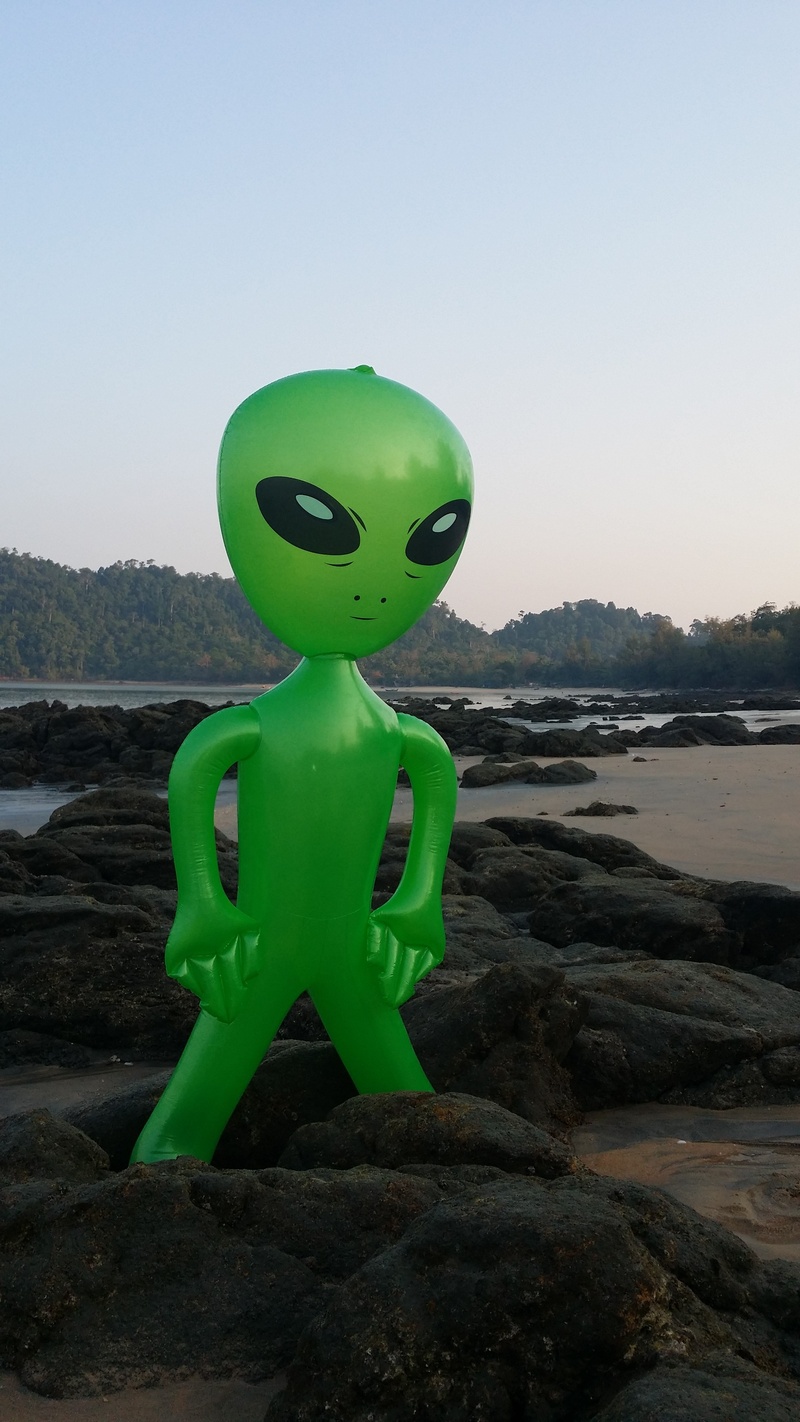 clear sky, green color, day, copy space, stones, animal representation, representation, land, sky, plastic, nature, outdoors, sea, inflatable, figure, water