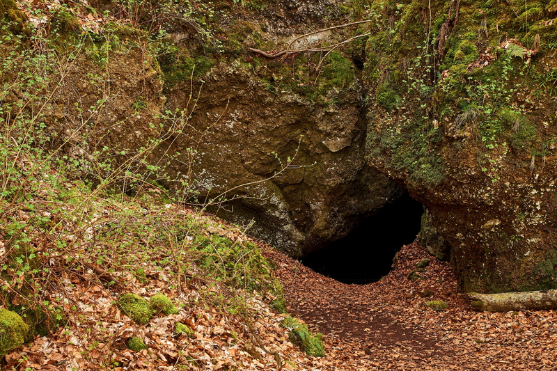 tranquility, 5K, solid, day, cave, annual rings, cracked, non-urban scene, rough, vulkaneifel, cutting, log, green color, outdoors, sunlight, structure